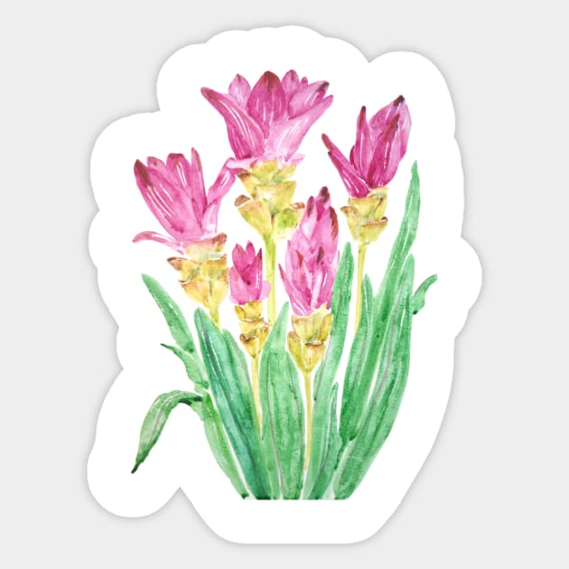 siam flowers watercolor painting Sticker by colorandcolor